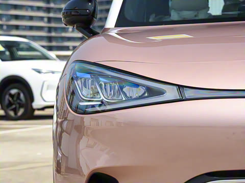 2026�� �鶯������