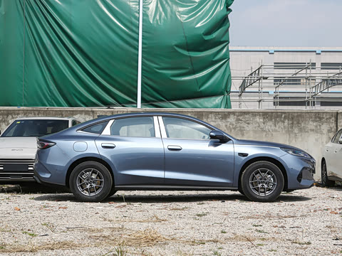 2025�� DM-i �Ǽݰ� 80KM������