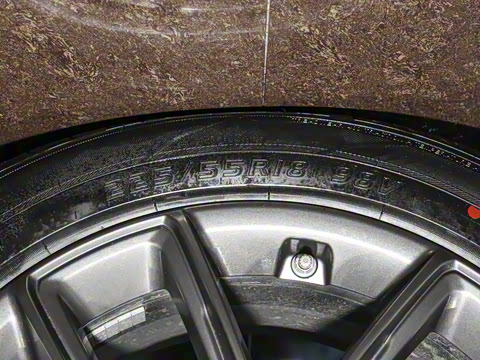 2025�� 165km ������������ 7��