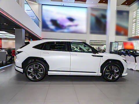 2025�� ����������Pro