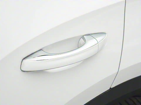 2025�� 300TSI DSG���������