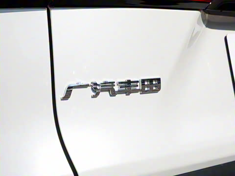 2024�� ˫�� 2.5L E-CVT��������