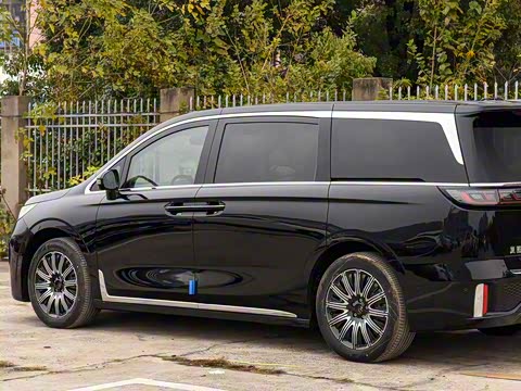 2025�� EV �������������