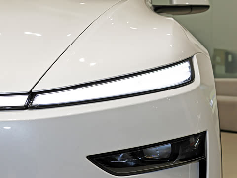 2025�� �������� �׷���