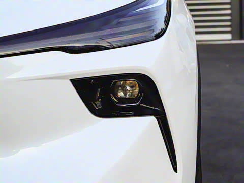 2025�� 565km ������