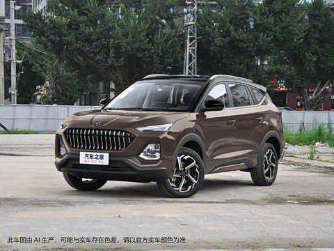 2021�� 300T �ֶ�ȫ�������� 7��