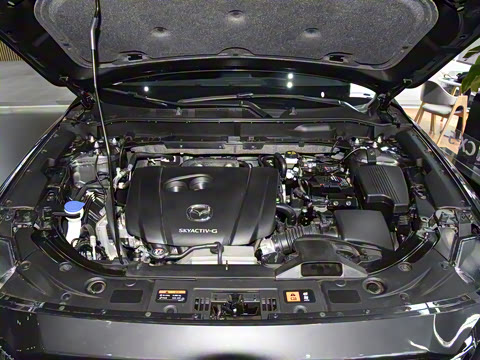 2025�� 2.0L �Զ�����������