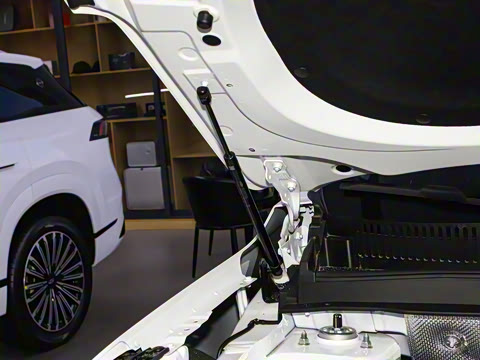 2025�� 290TGDI DCT������ 7��