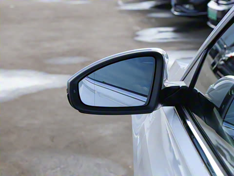 2024�� 200TSI DSG����PRO��