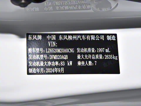 2024�� 2.0L �ֶ�������CNG 7��