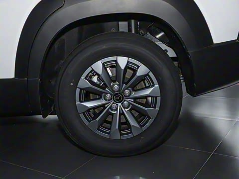 2023�� 2.5L ���а�