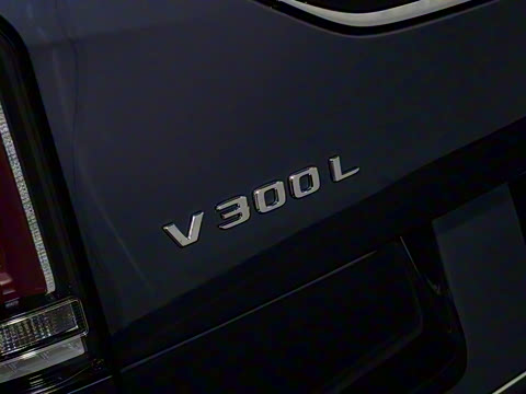 2024�� V 300 L ����������