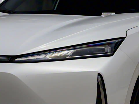 2025�� 205��������������