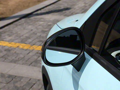 2025�� 310������