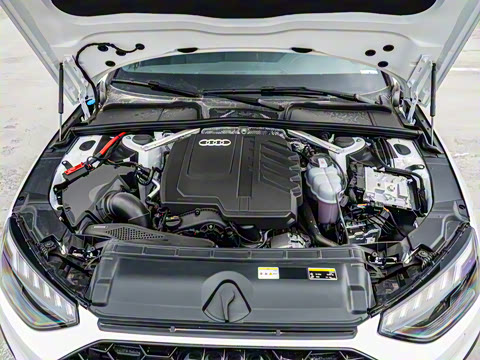 2025�� 200���������� 45 TFSI quattro ��ѡ������