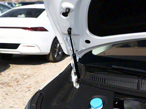 2025�� DM-i 1.5T 100km ������