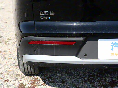 2025�� �ڶ��� DM-i 115KM��Խ��