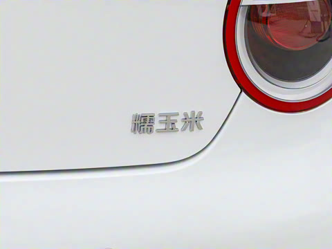 2025�� 205km �����