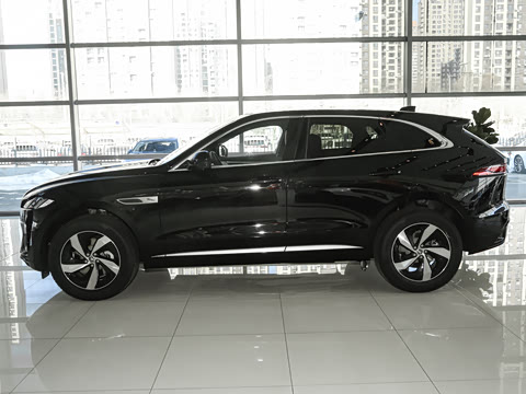 2025�� P250 R-Dynamic S