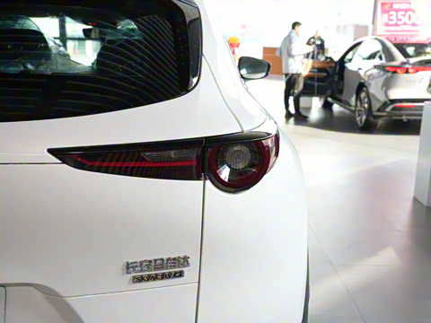 2024�� 2.0L �ֶ�������