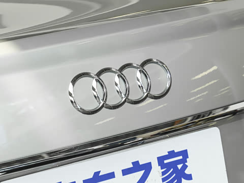 2025�� �Ŀ� 45 TFSI quattro ��ѡ������