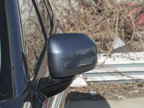 2025�� ���������� 650 ������