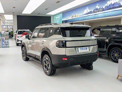 2025�� 2.0TD ��Խ