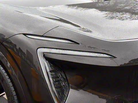 2024�� Max���������