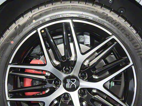 2025�� DM-p ���������״��콢��