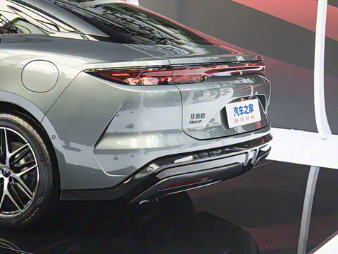 2025�� DM-p ���������״��콢��