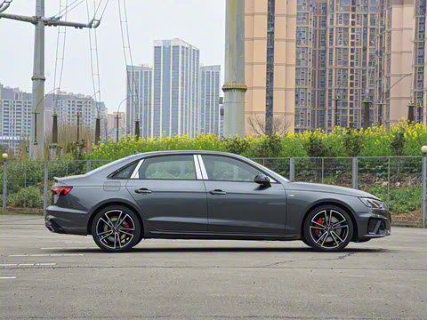 2025�� 200���������� 45 TFSI quattro ��ѡ������