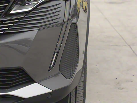 2025�� ������