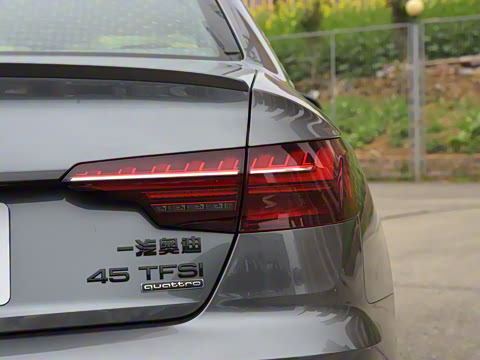 2025�� 200���������� 45 TFSI quattro ��ѡ������