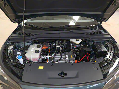 2025�� 565km ������