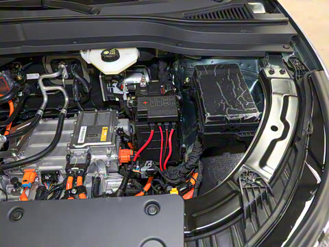 2025�� 565km ������