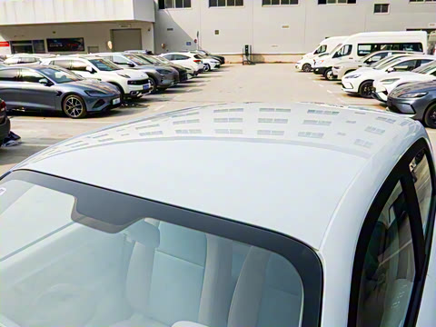 2025�� 310������