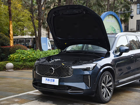 2025�� �Ŀ� T8 ��������� 7��