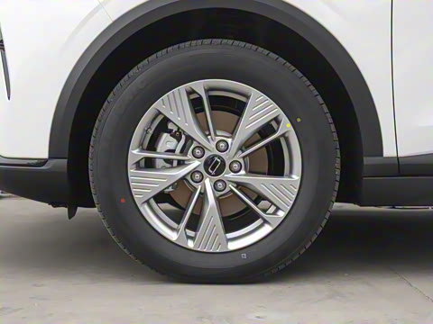 2025�� 565km ������