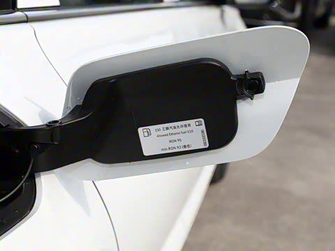 2025�� 300TSI DSG��Խ��