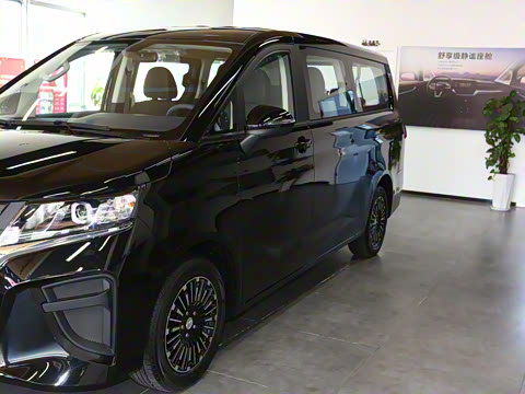 2025�� 2.0L �Զ���������� 7��