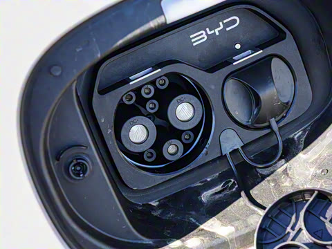 2025�� DM-i �Ǽݰ� 112KM ������