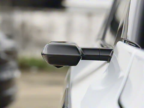 2025�� ����������Max