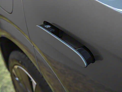 2025�� DM 175KM���˻���Ұ�