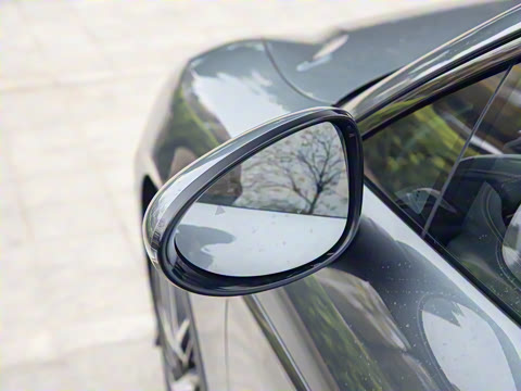 2025�� DM-p ���������״��콢��