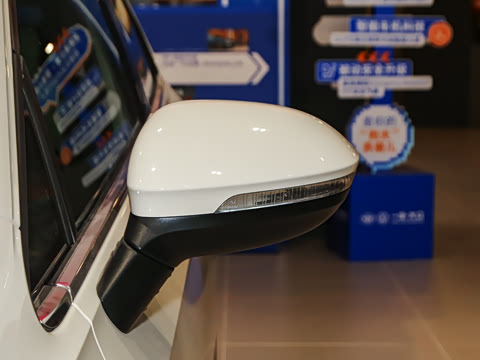 2025�� 300TSI Pro