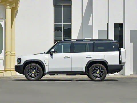 2025�� 2.0TD XWD �Զ�����+�ӳ��� 7��