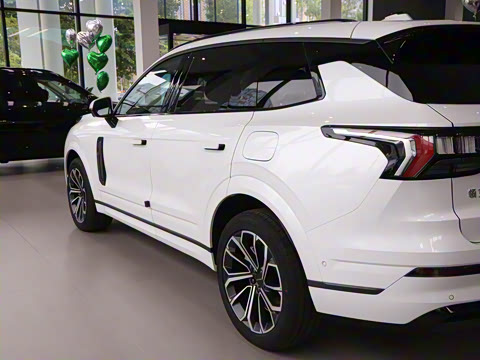 2025�� 2.0TD EM-P ����Max ����