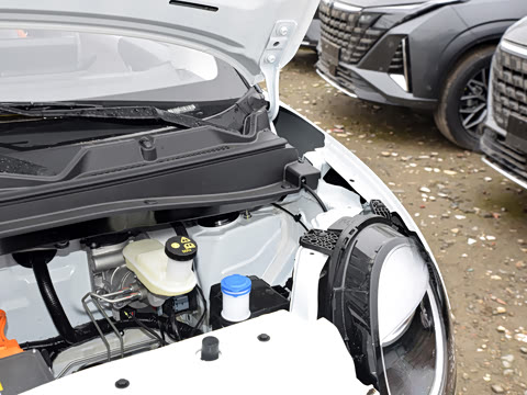 2024�� 301km �ȷ��