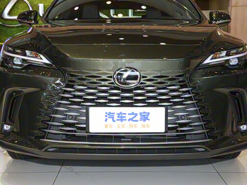 2025�� 300 ����������