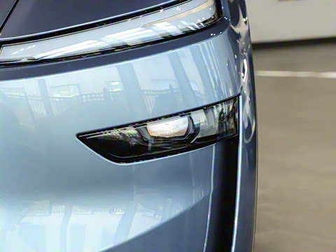 2025�� �������� �׷���